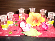 CIMG0508